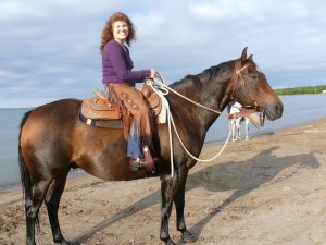 horses on beach 231